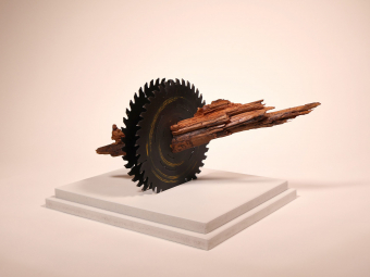 Nature's Resilience -Wood & Metal-10x16x10''-2024