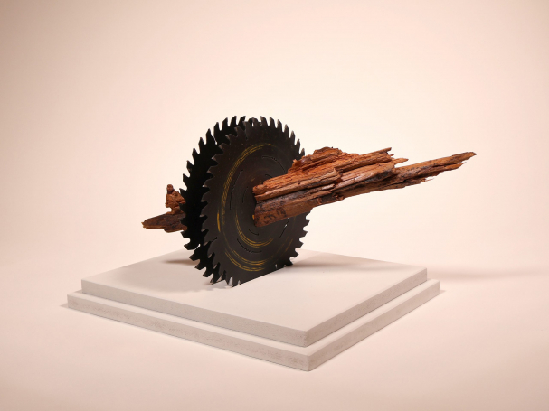 Nature's Resilience -Wood & Metal-10x16x10''-2024