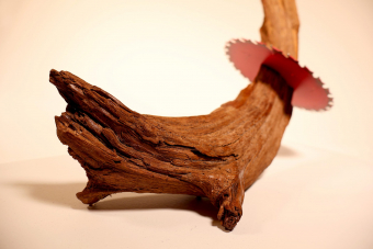 Nature's Resilience -Wood & Metal-18x12x10''-2024